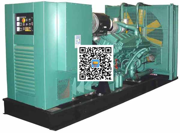 独山笼型异步发电机的电力电子控制技术